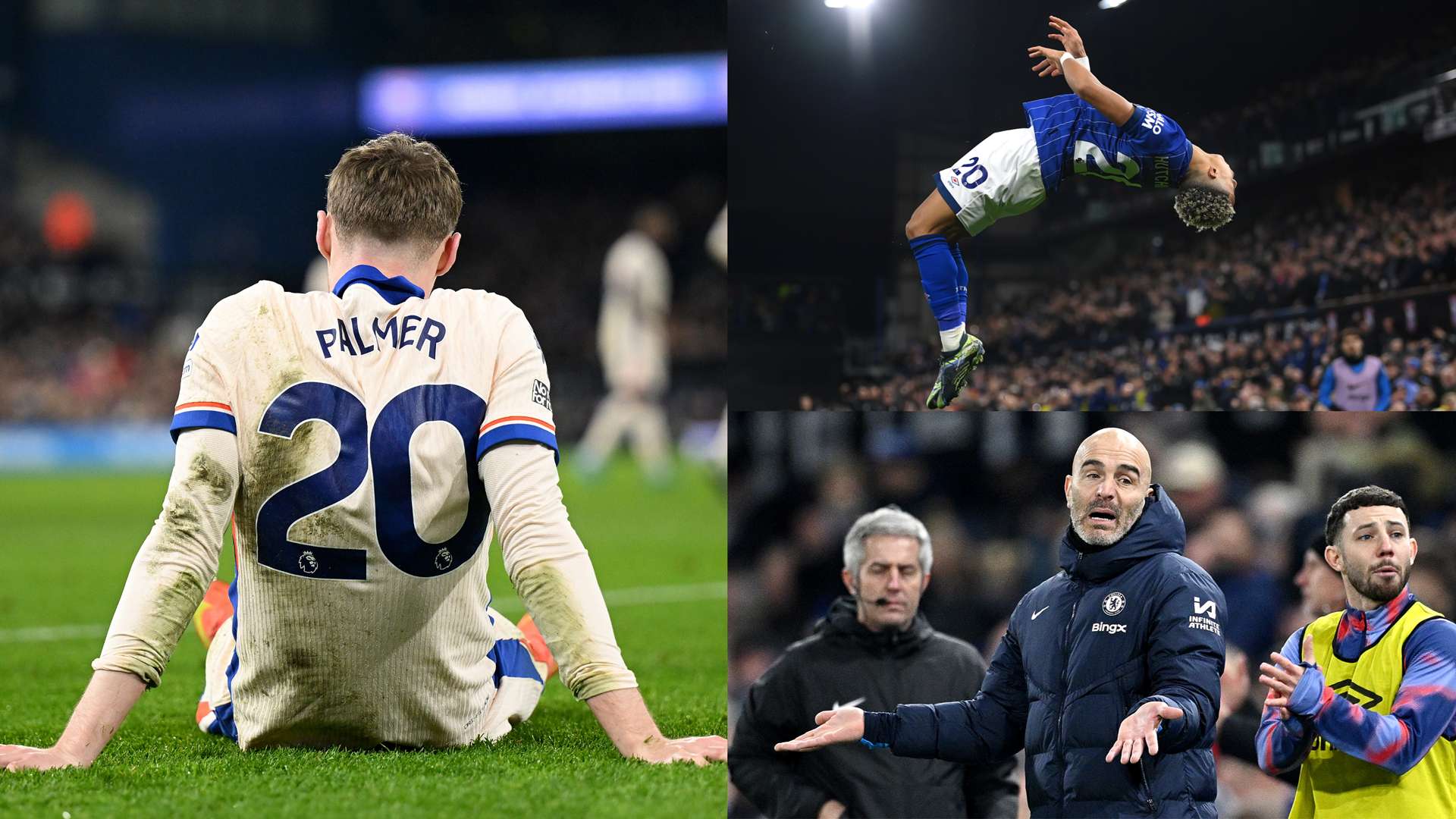 动的魅力 动的魅力